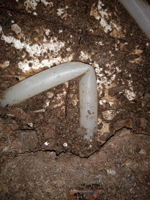 佛坪堵点精准查找